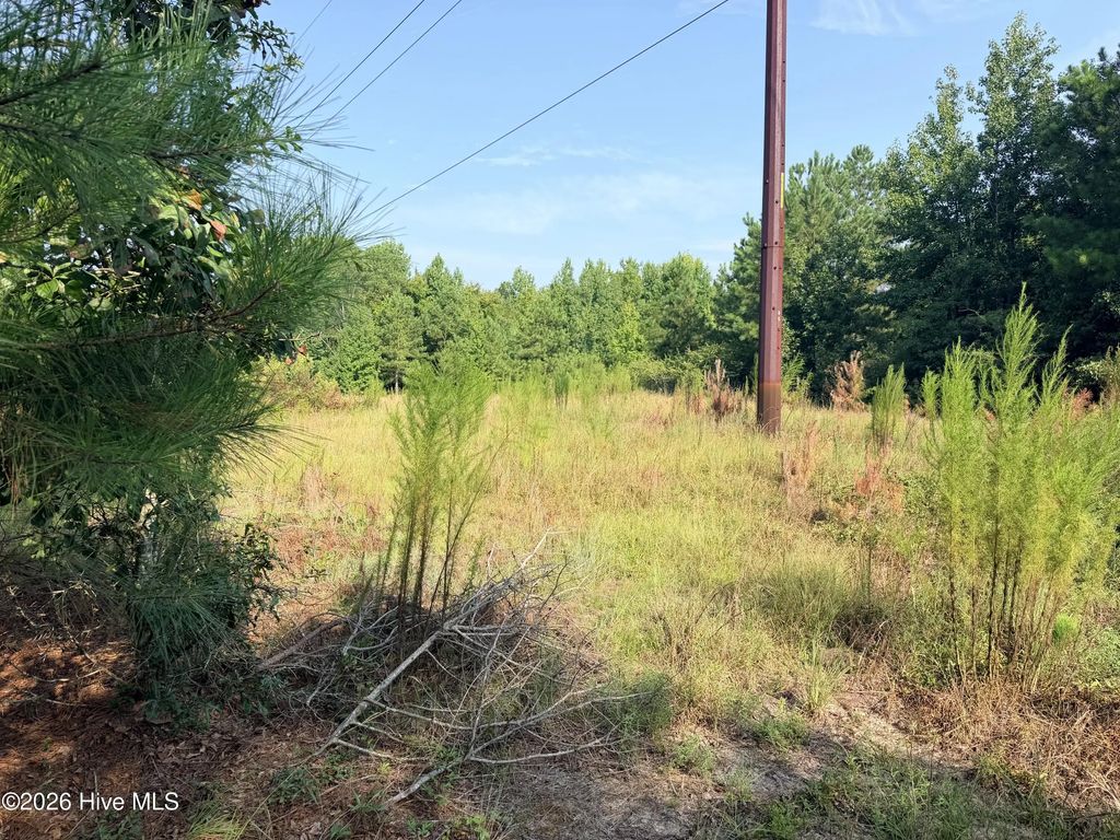 141 Autumn Chase Lane, Beech Island