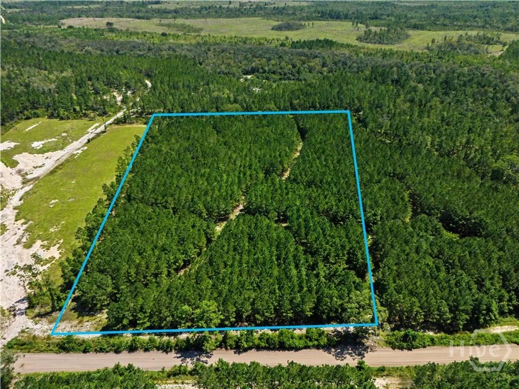 Lot 1-o Mill Branch Club Road, Pembroke