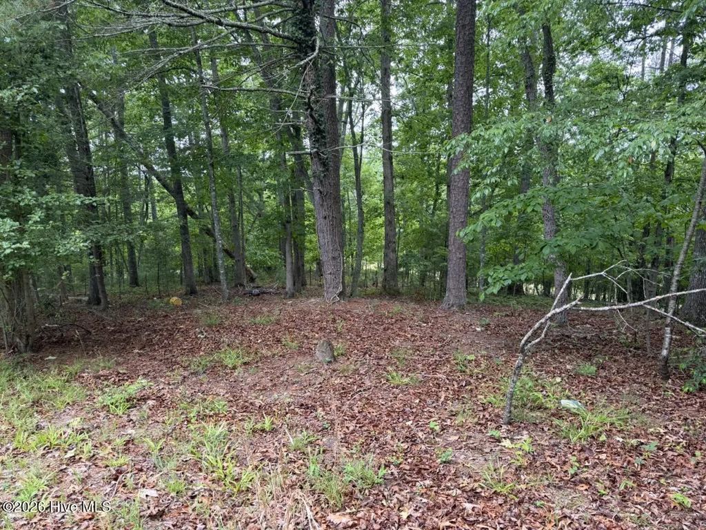 274 Snow Hill Ridge Road, Murphy