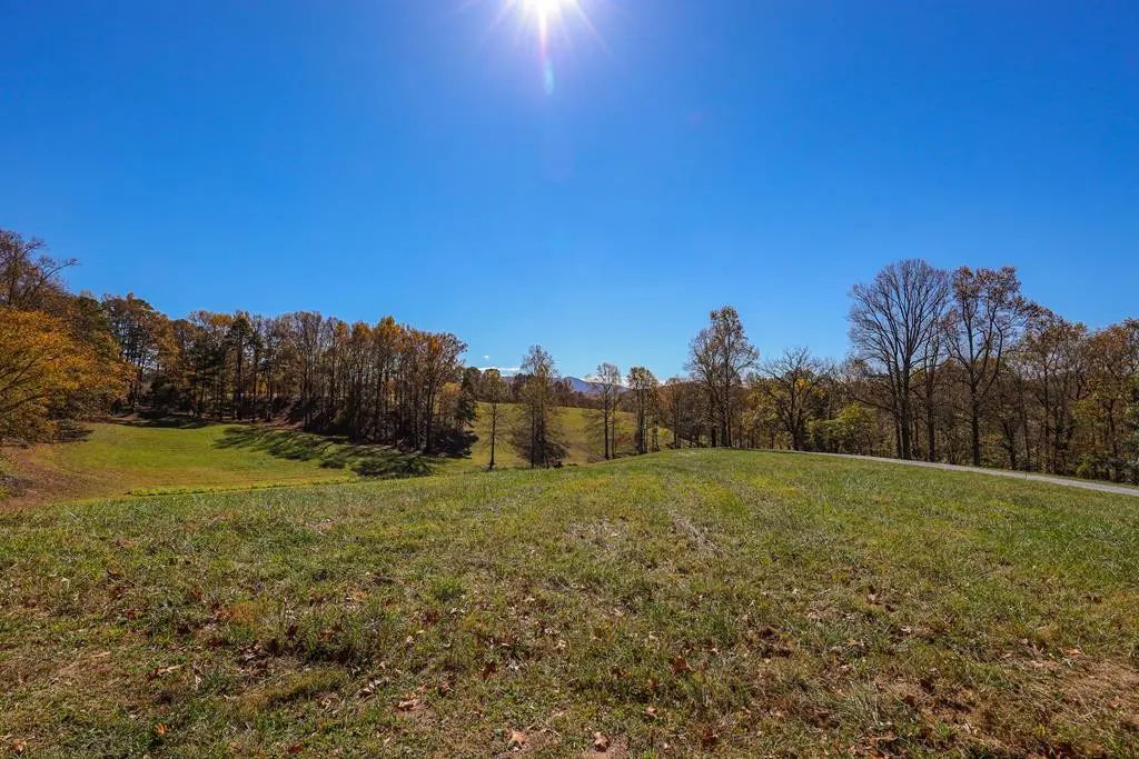 Lot 5 Hinton, Hayesville