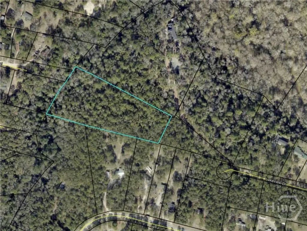 0000 Lakeview Drive, Jesup