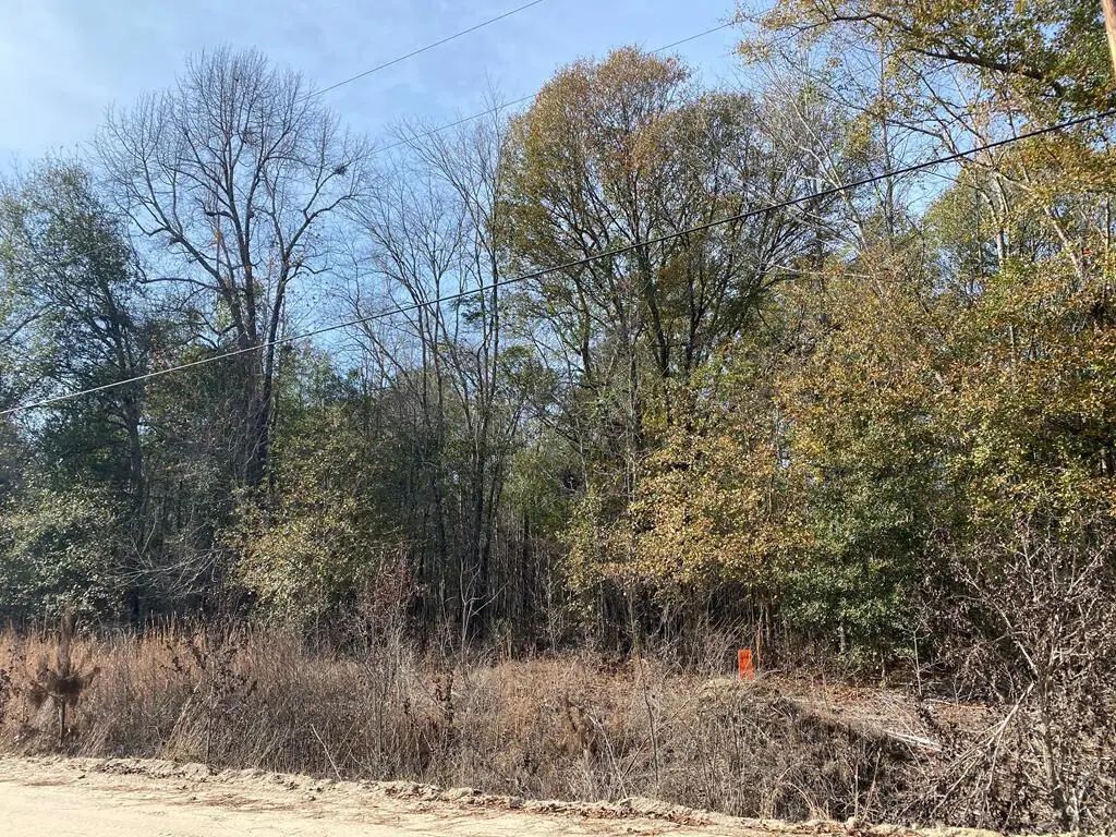 Lot 14 Robin Boulevard, Other