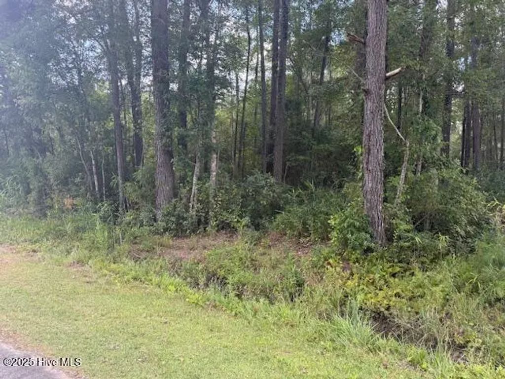 2539 Chauncey Town Road, Lake Waccamaw