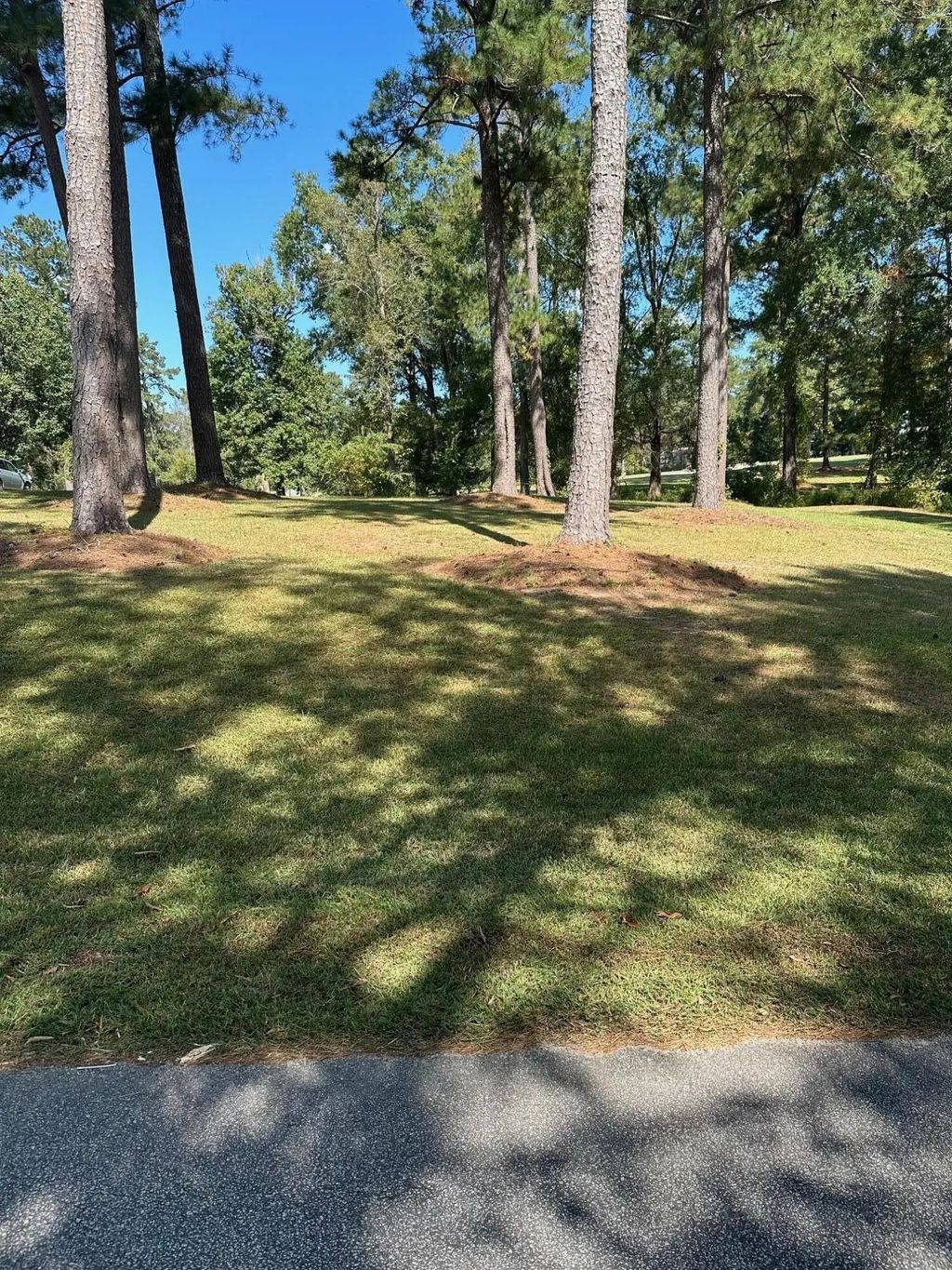 000 Nw South Lake Drive, McDuffie