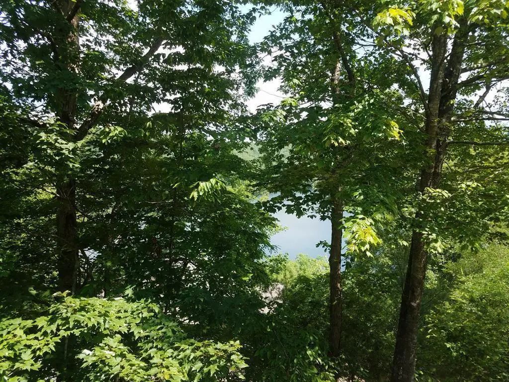 Lot 43 Kestrel Ridge Circle, Ranger