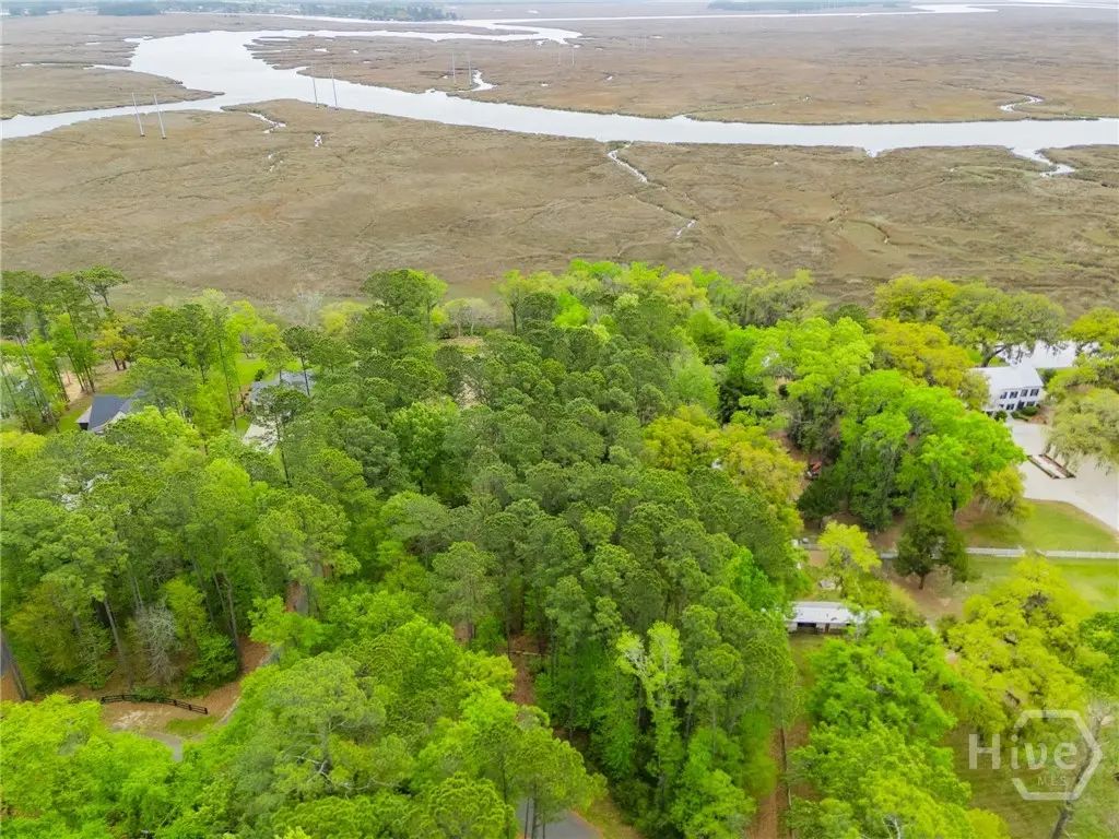 120 Drifton Drive, Savannah