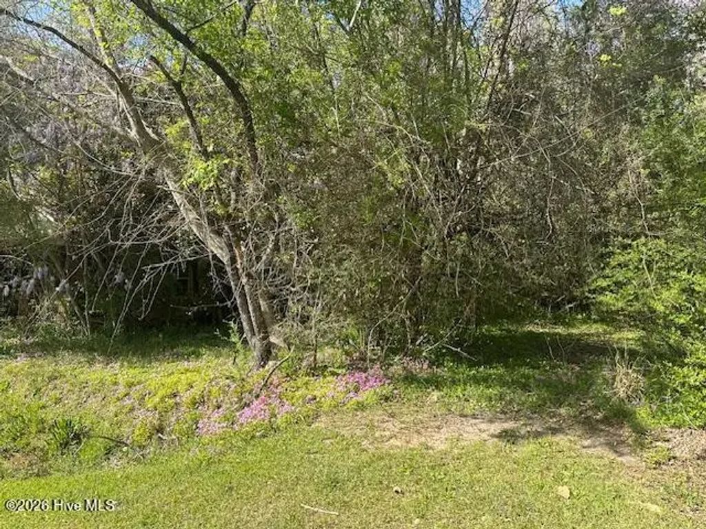 408 Mill Quarters Road, Hallsboro