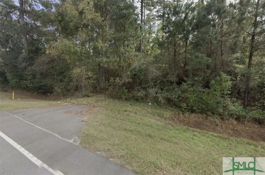 1.54 Acres E Oglethorpe Highway, Midway