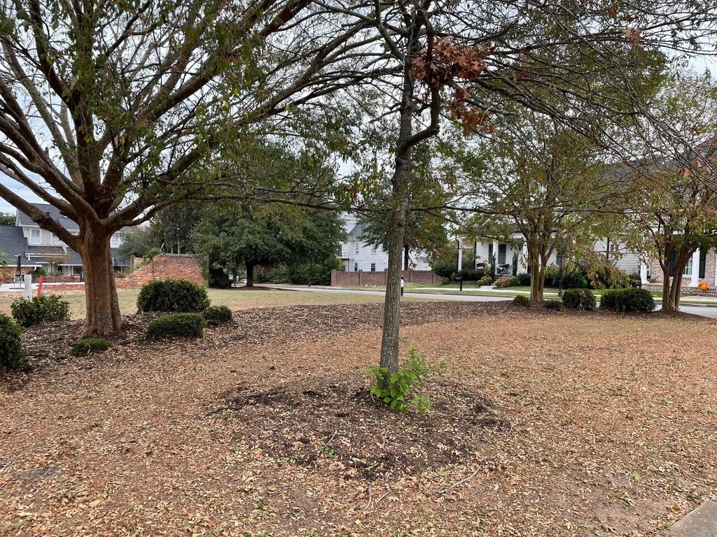2111 Carnes Place, Richmond