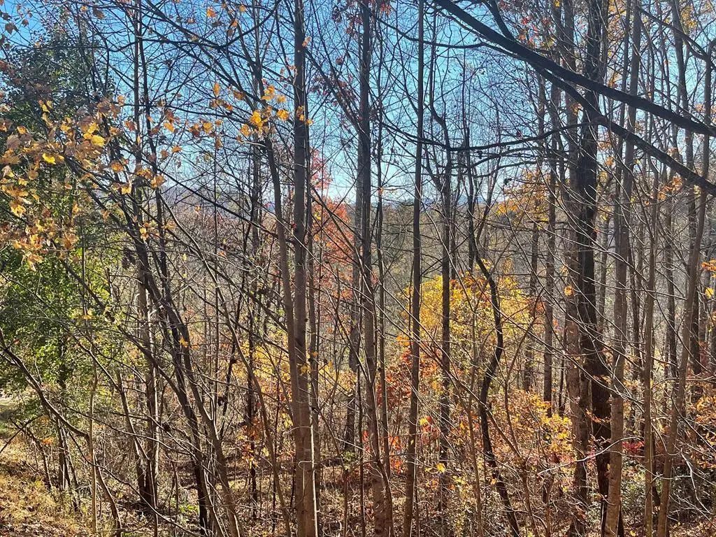 Lot 41c Ash Branch Circle, Hayesville
