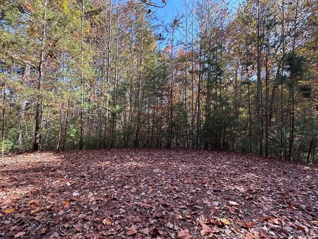 Lot 5&8 Indian Rock Springs Subdivisio, Hot House