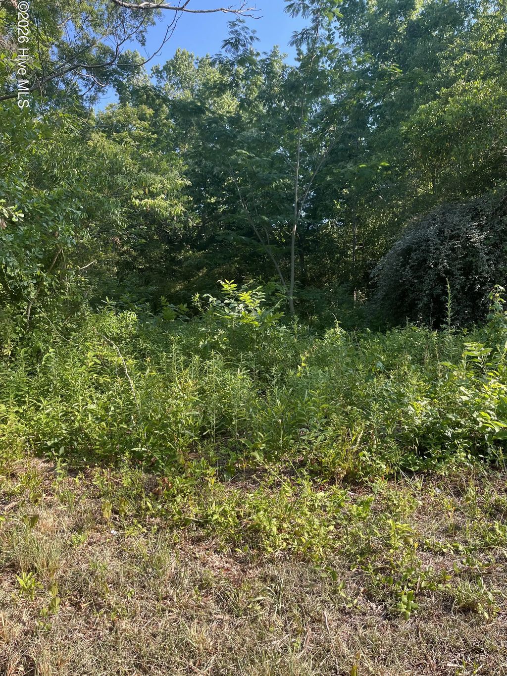 166 Douglas Street, Laurinburg