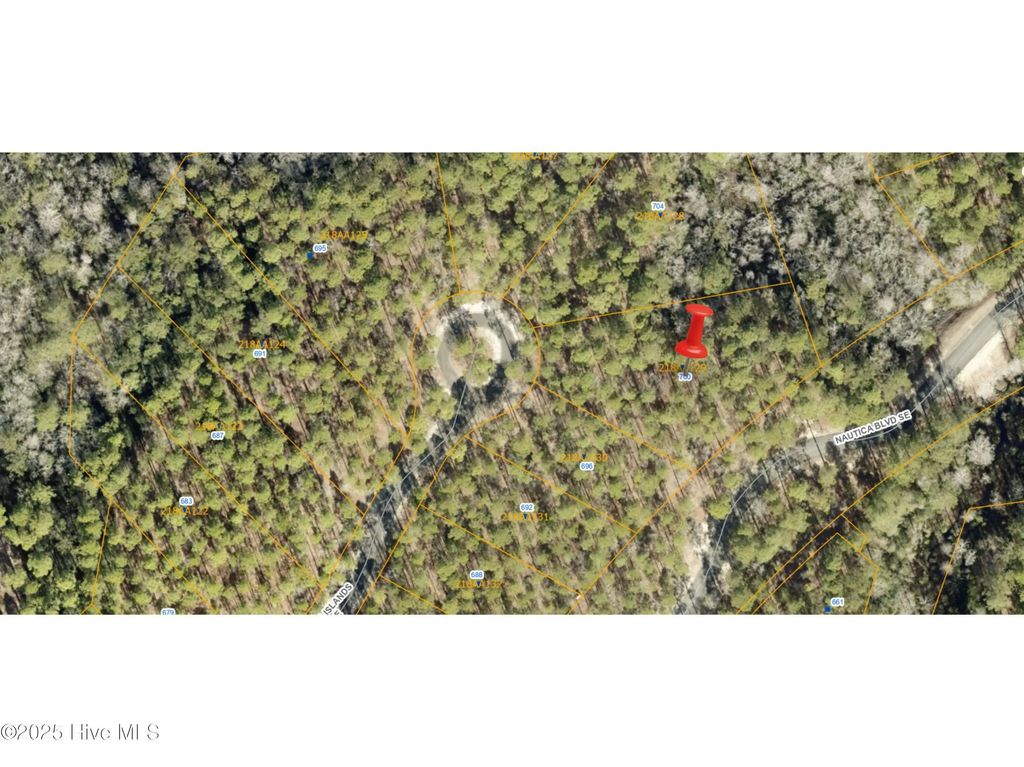 700 Madeira Islands Drive Se, Bolivia