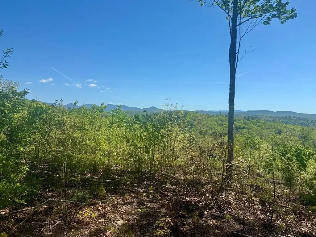 51 Wayah Ridge, Grape Creek