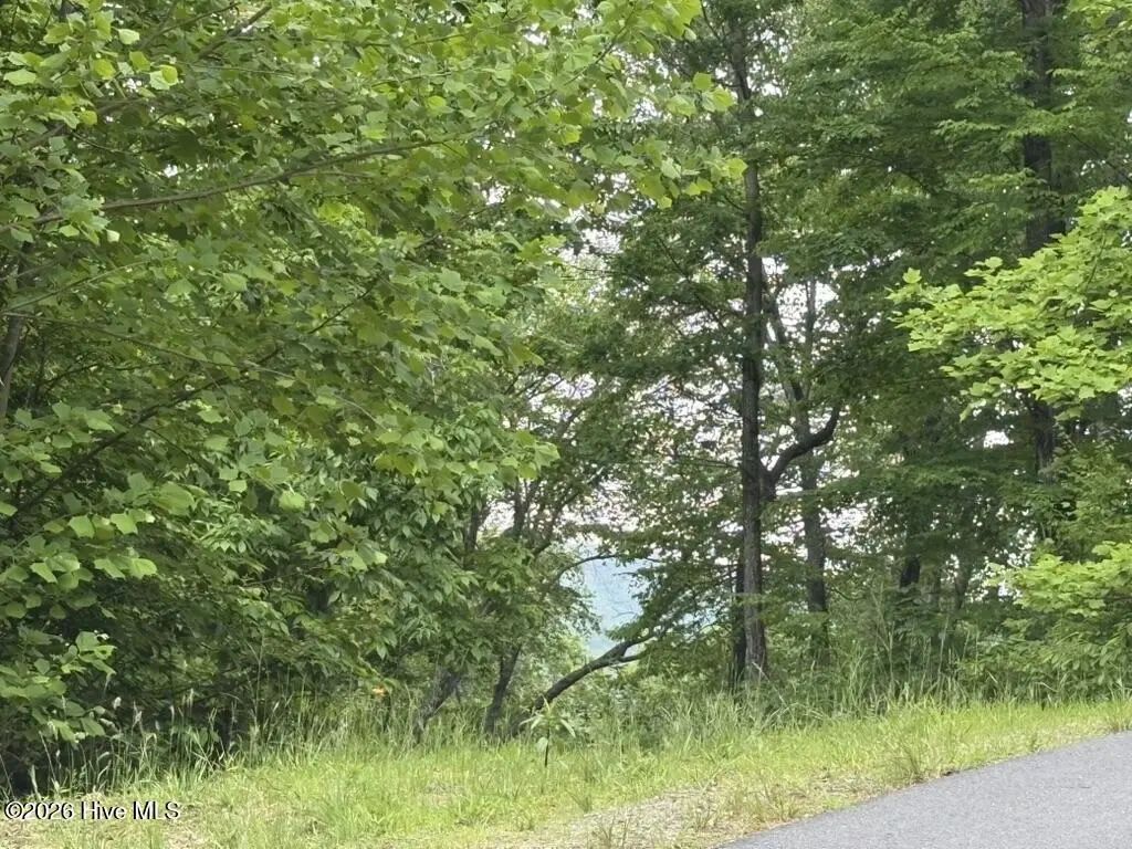 N/A, Hayesville