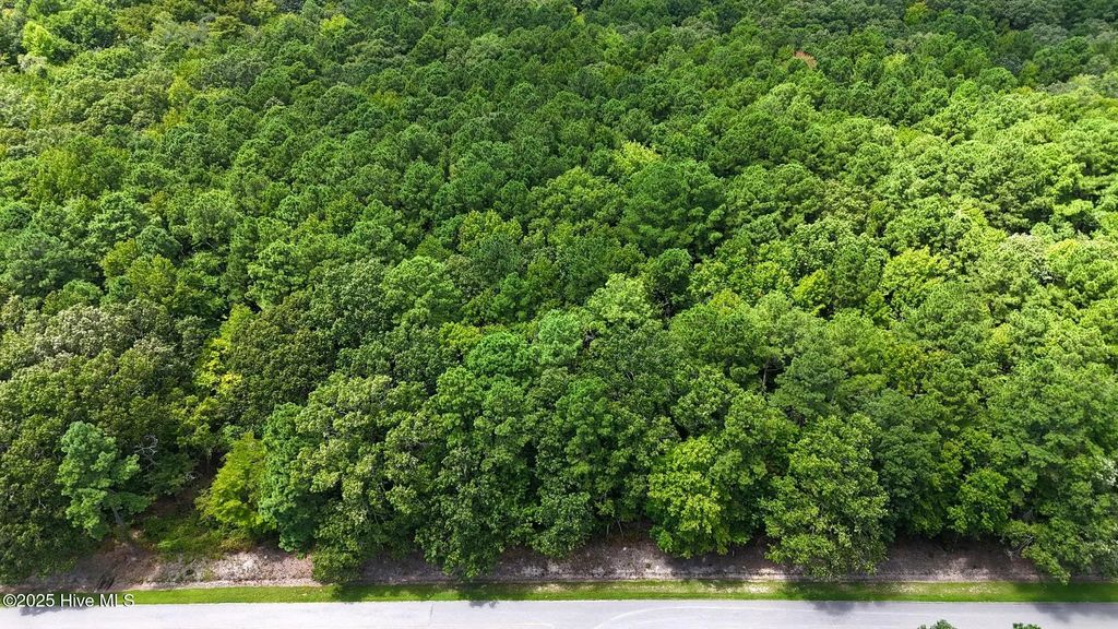 Tbd Boat Ramp Road, New Hope