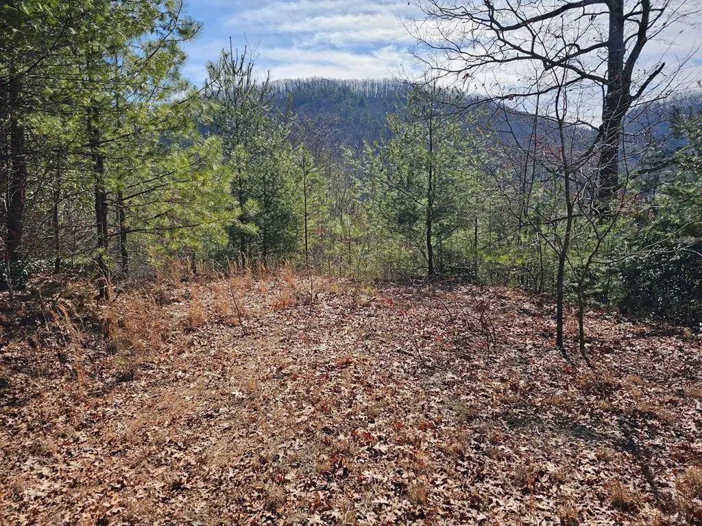 51 Kudzu Creek Trail, Murphy