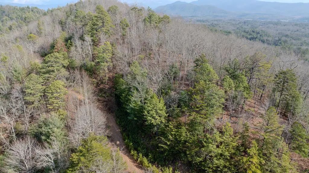 2.57 Scottie Mountain Circle, Murphy