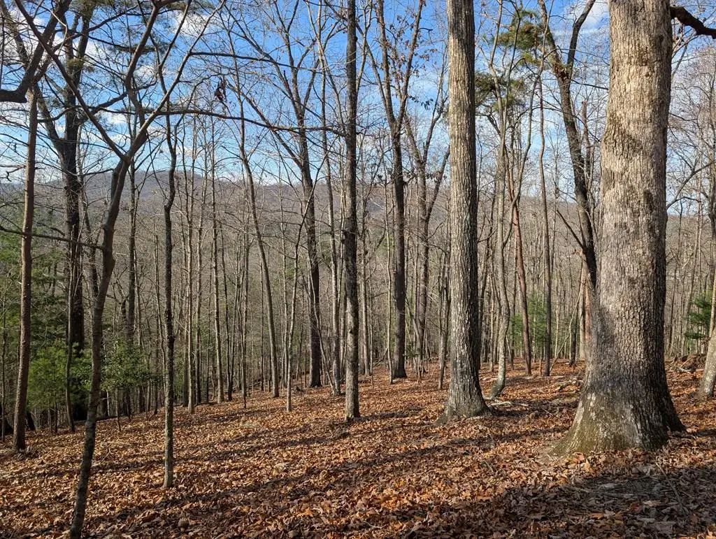 902 Mountain Top Drive, Ranger