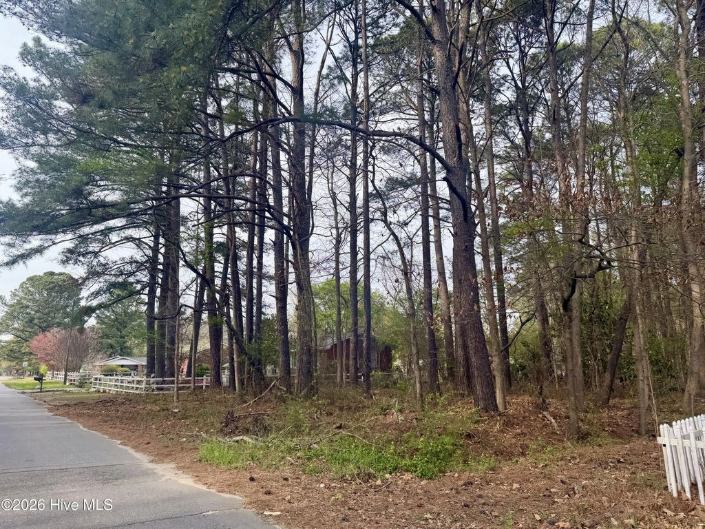 307 Viverette Avenue, Battleboro