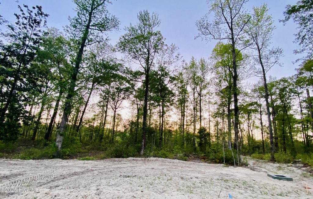 Lot 27 Plover Way, New Bern