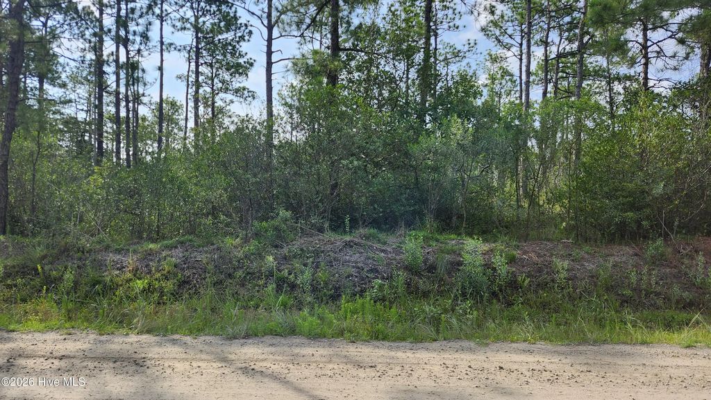 Lot 453 Queens Road, Boiling Spring Lakes