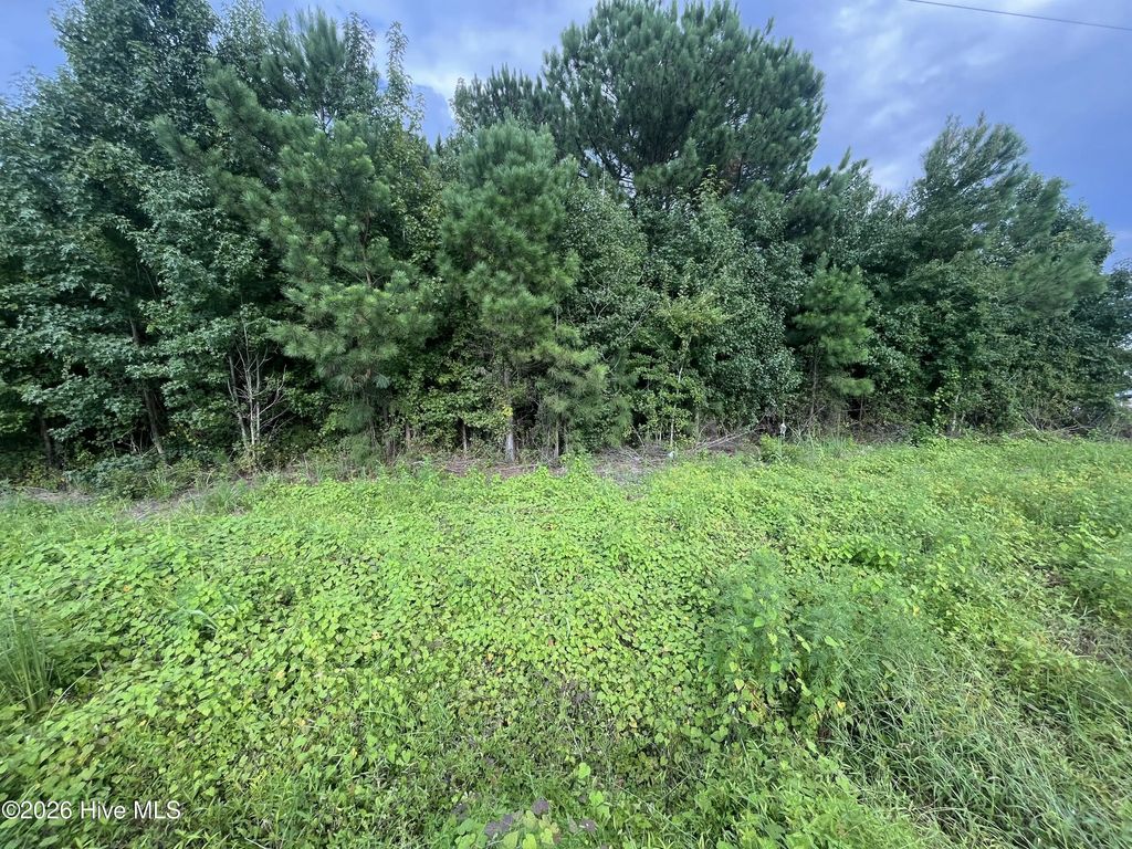 00 Near 1008 N Brown Street, Chadbourn