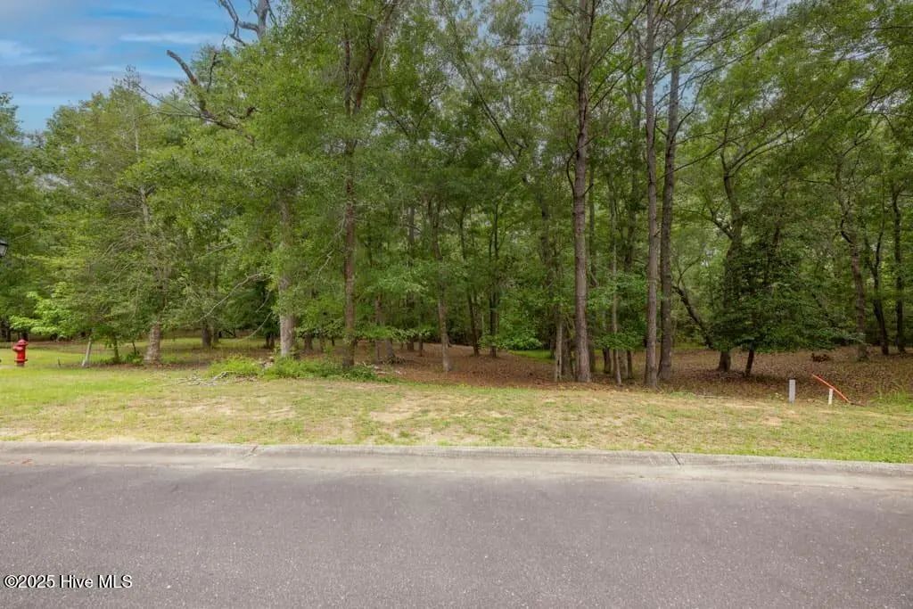 Lot 21 Bay Creek Drive, Shallotte