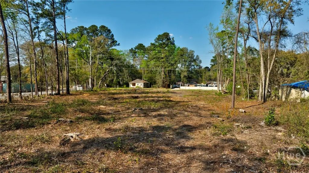 2502 Staley Avenue, Savannah