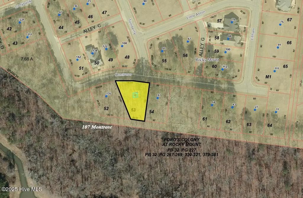 107 Montrose, Rocky Mount