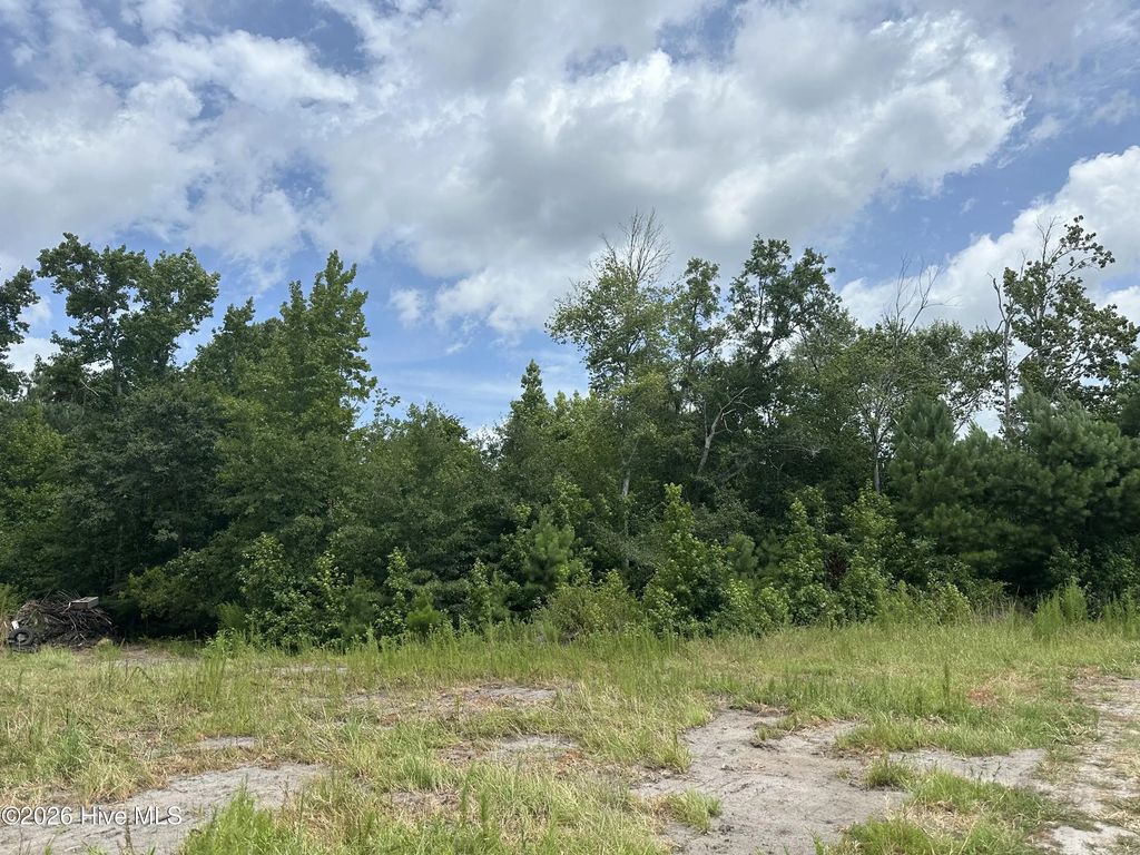 Near 99 Andrews Lake Drive, Tabor City