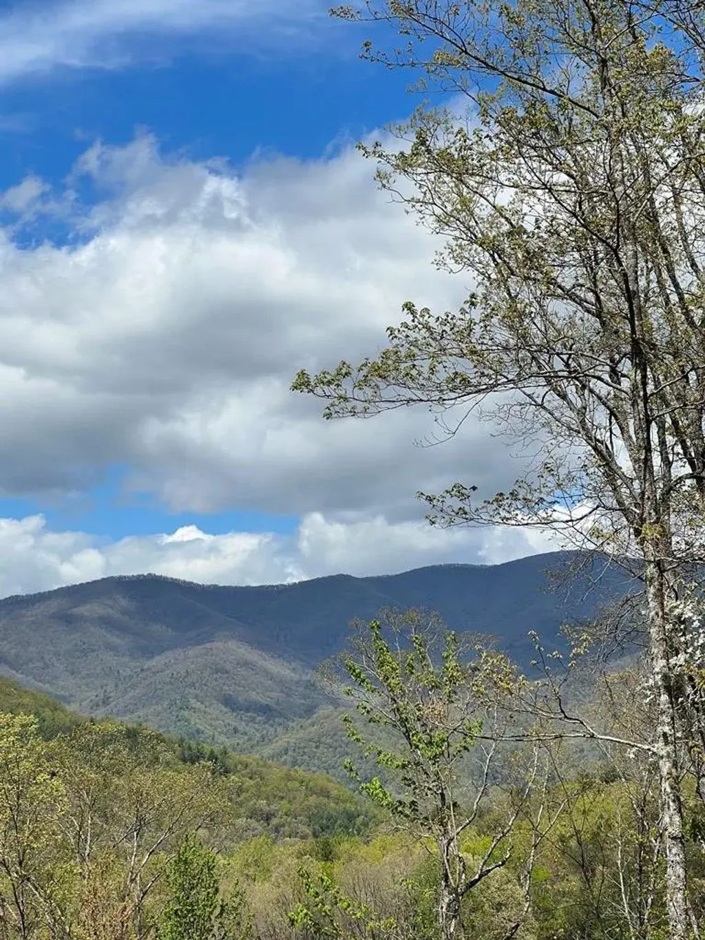 33 35 36 J Ash Branch, Hayesville