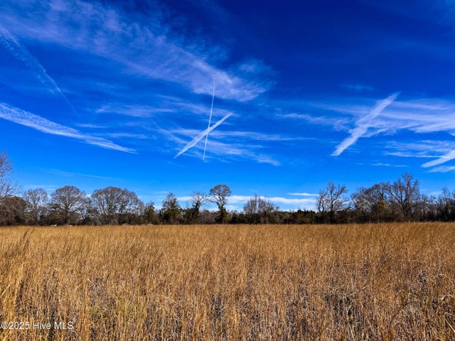 #1 Snake Road, Lumberton