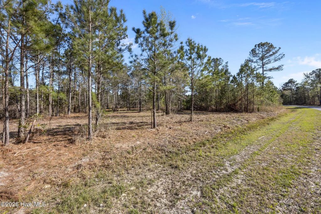 168 Shell Castle Lane, Vandemere