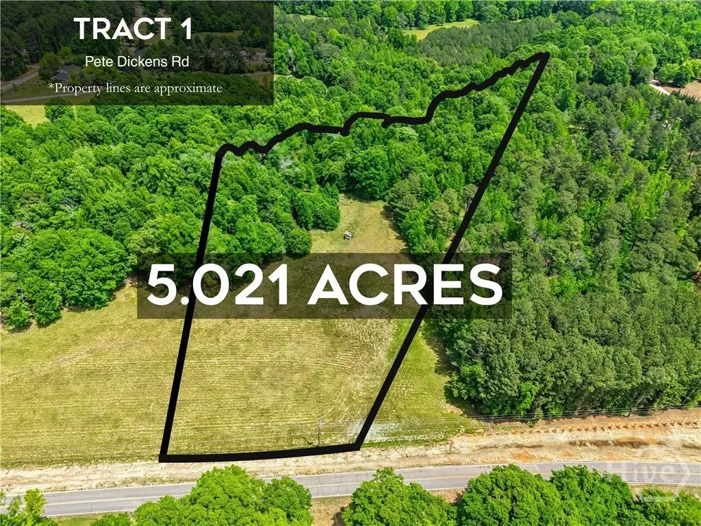 Tract 1 Mcnutt Creek Road, Bogart