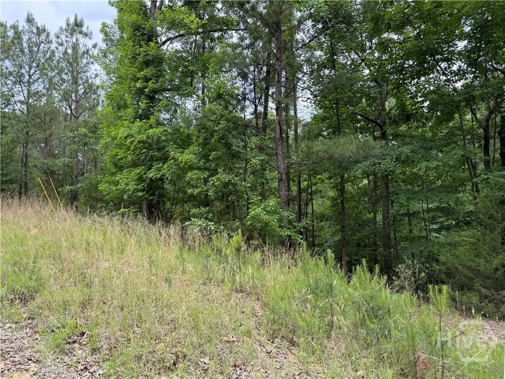 Lot 52 Bramlett Cr, Elberton