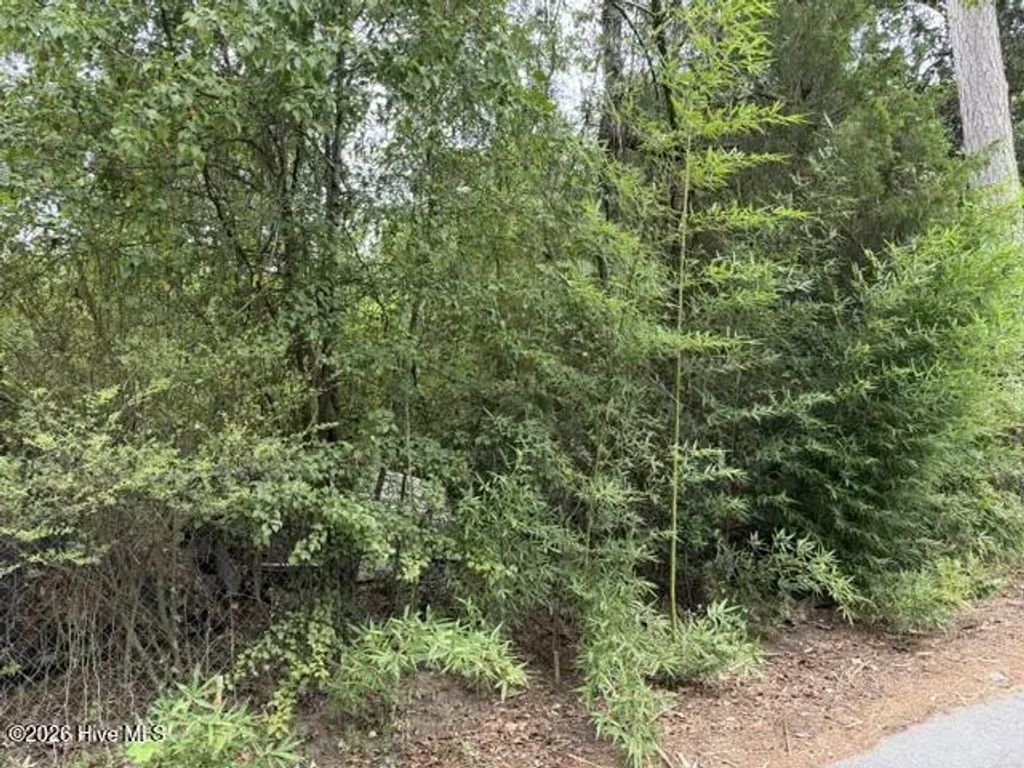 105 Lamar Street, Beech Island