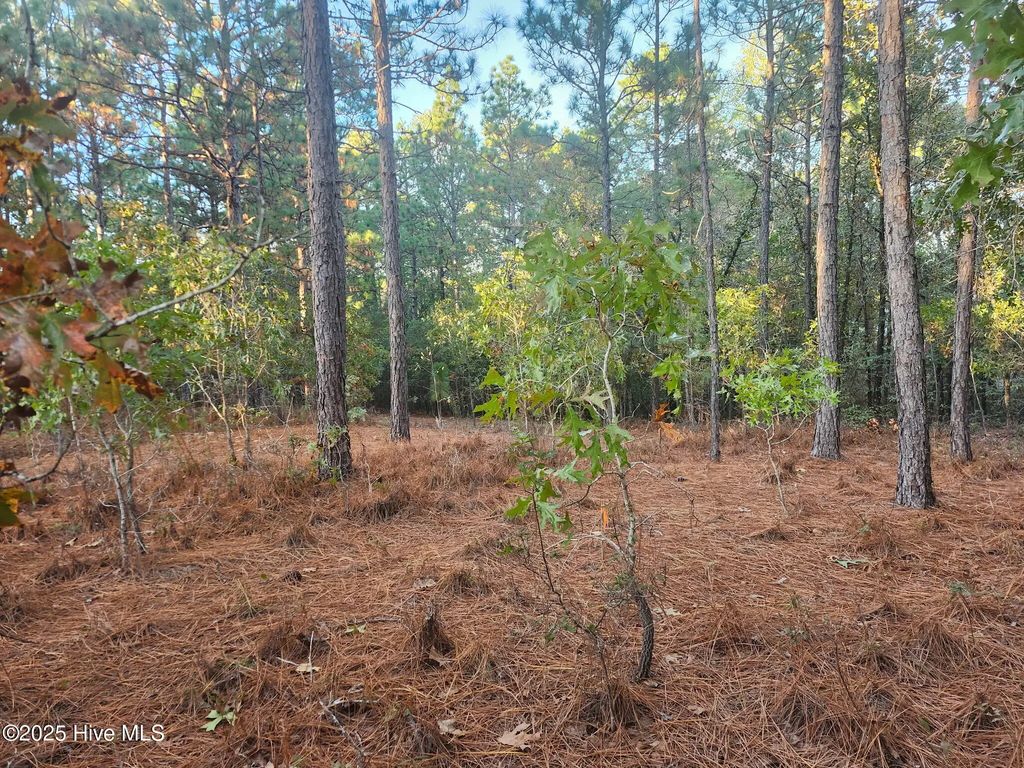 4 Brassie Circle, Jackson Springs