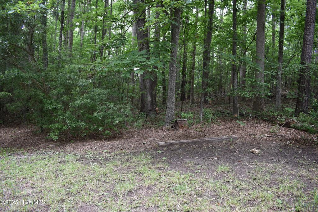 Lot 6 River Road, Blounts Creek