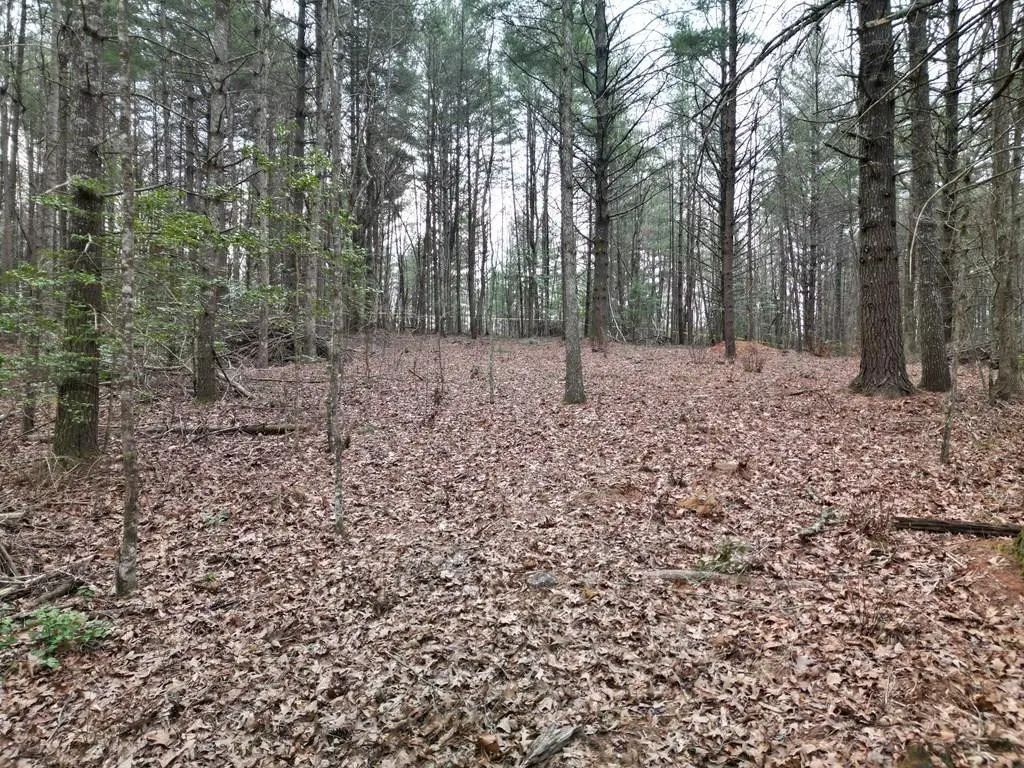 Lot #29 Liberty Road, Hiwassee Dam
