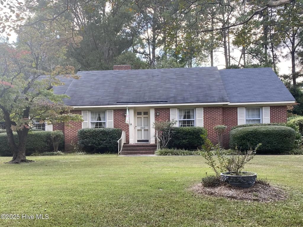 203 Brentwood Drive N, Wilson