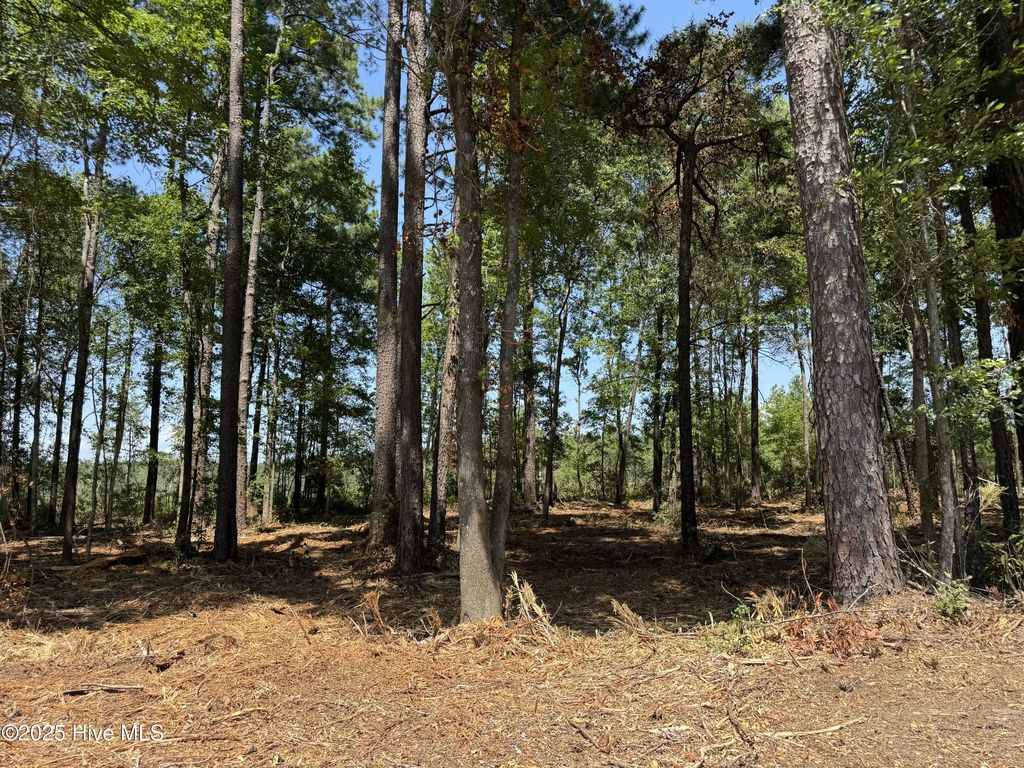 Lot 5 Near 4102 Swamp Fox (lot 5) Highway W, Tabor City