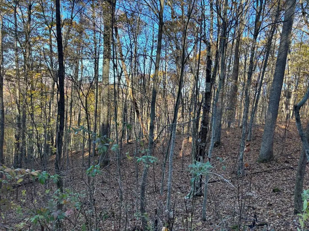 Lot#39 Falcon Stone Ridge, Topton