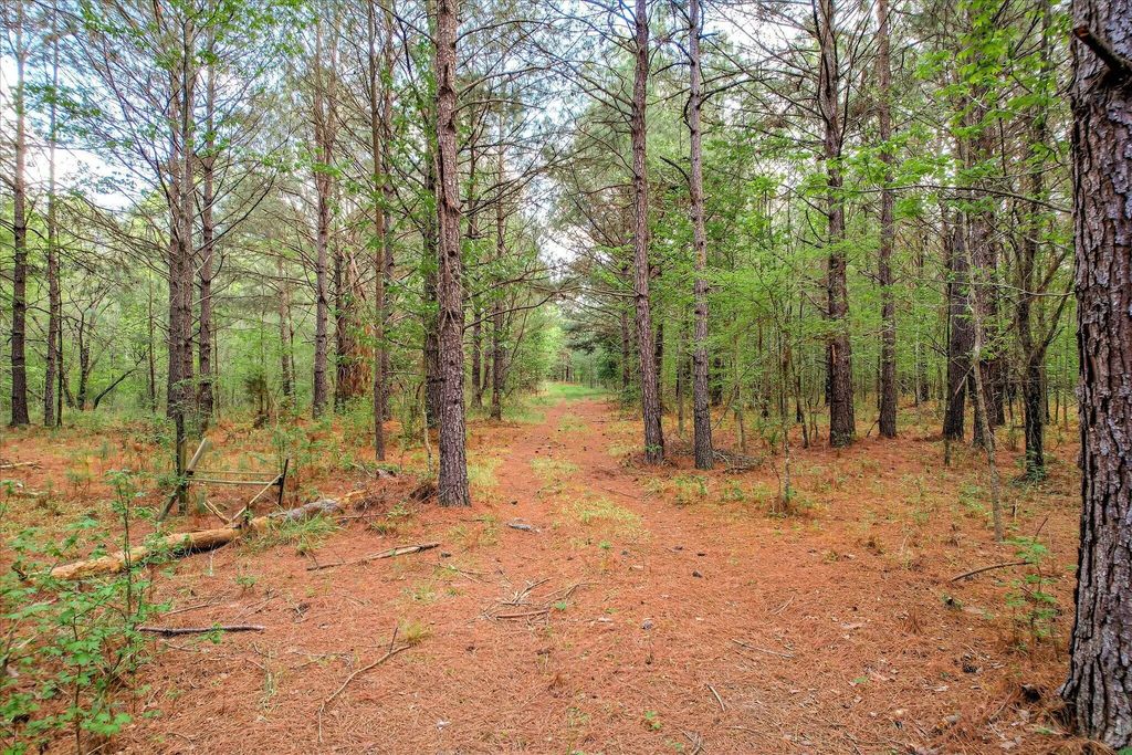 6995 Cobbham Road, Columbia