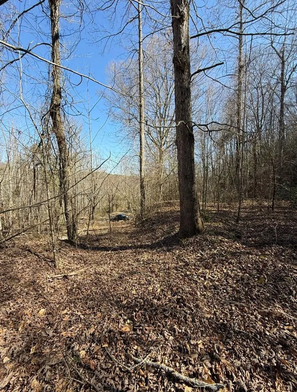 Tbd Royal Oaks Trail, Brasstown