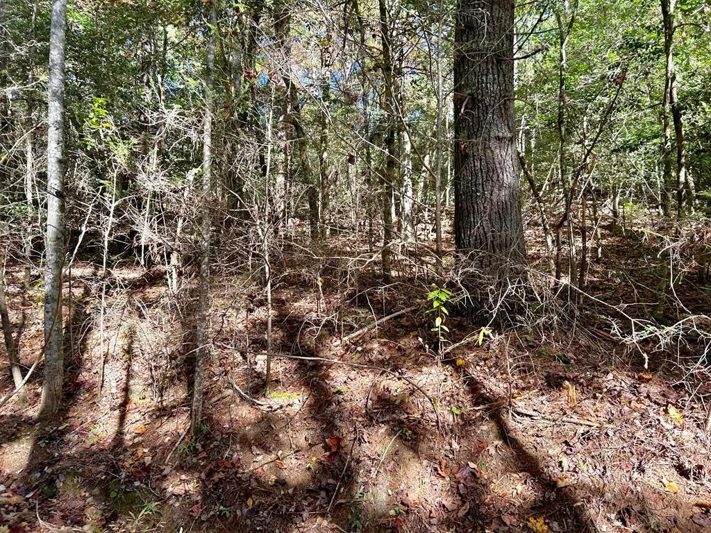 Lot 6 Beaverdam Loop, Murphy
