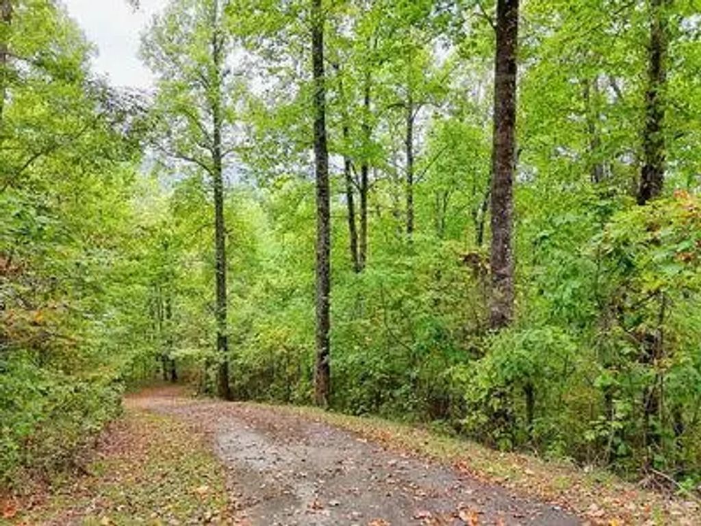 Lot 1 Skyview Drive, Shooting Creek