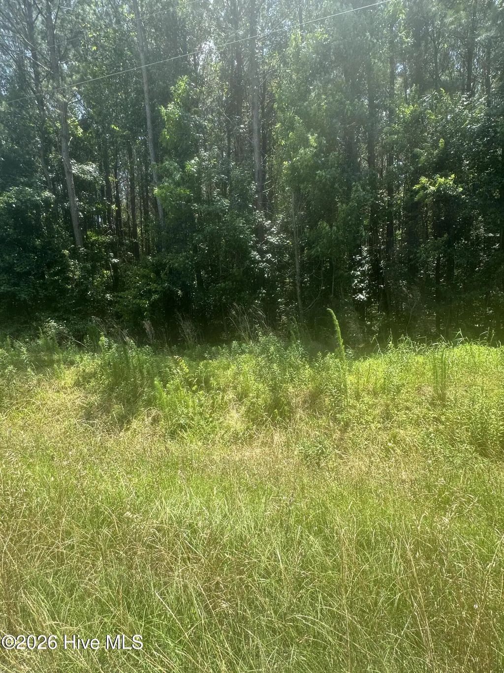 Near 721 Near 721 Joe Piver R Road, Chadbourn