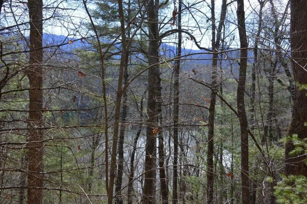 00 Chestnut Ridge, Lake Santeetlah