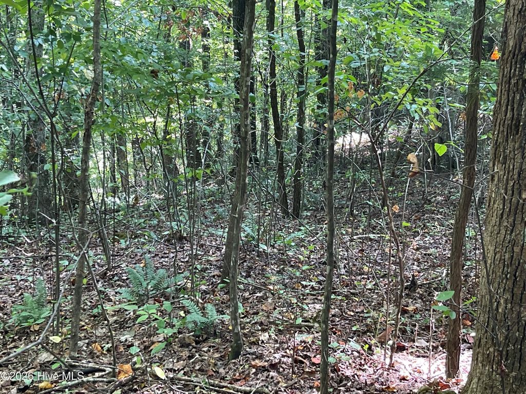 81a-82a Licklog Road, Hayesville